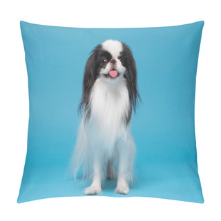 Personality  One Dog Japanese Chin Against Blue Background Pillow Covers