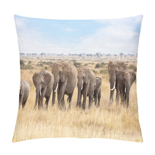 Personality  Elephant Family Walking Through Long Grass Of Masai Mara, Kenya Pillow Covers