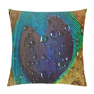 Personality  Peacock Feather Close Up Pillow Covers