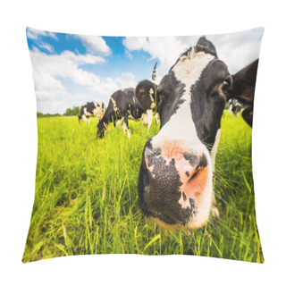 Personality  Curious Cow Close-up On A Green Meadow Pillow Covers