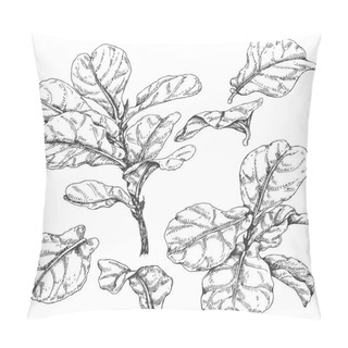 Personality  Ficus Branches  And Leaves Sketch Pillow Covers