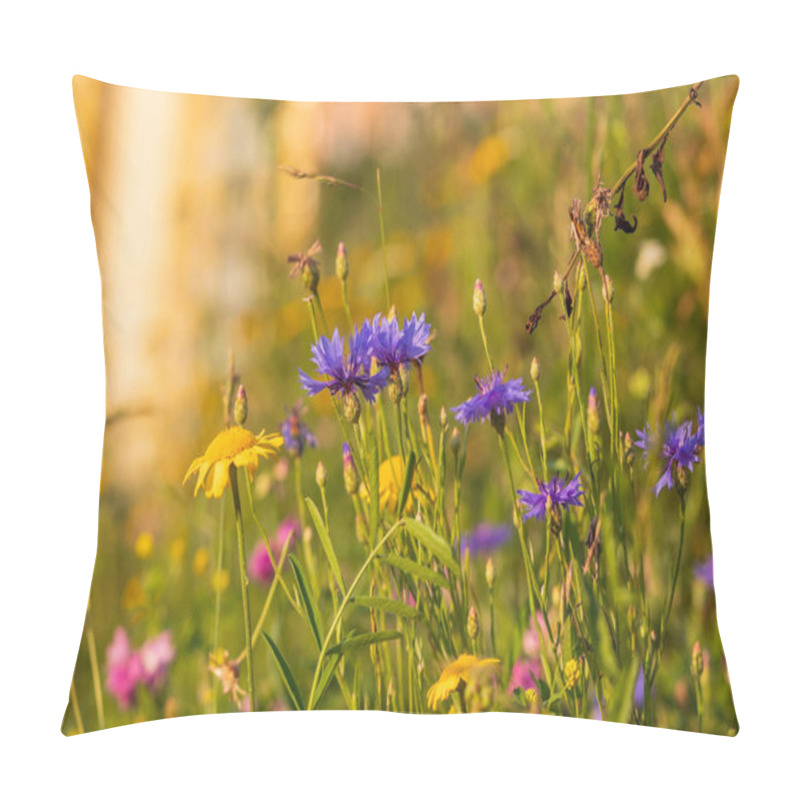 Personality  Blooming Thistles In The Meadow. The Flowers Are Blue, The Background Is Green Grass. Pillow Covers