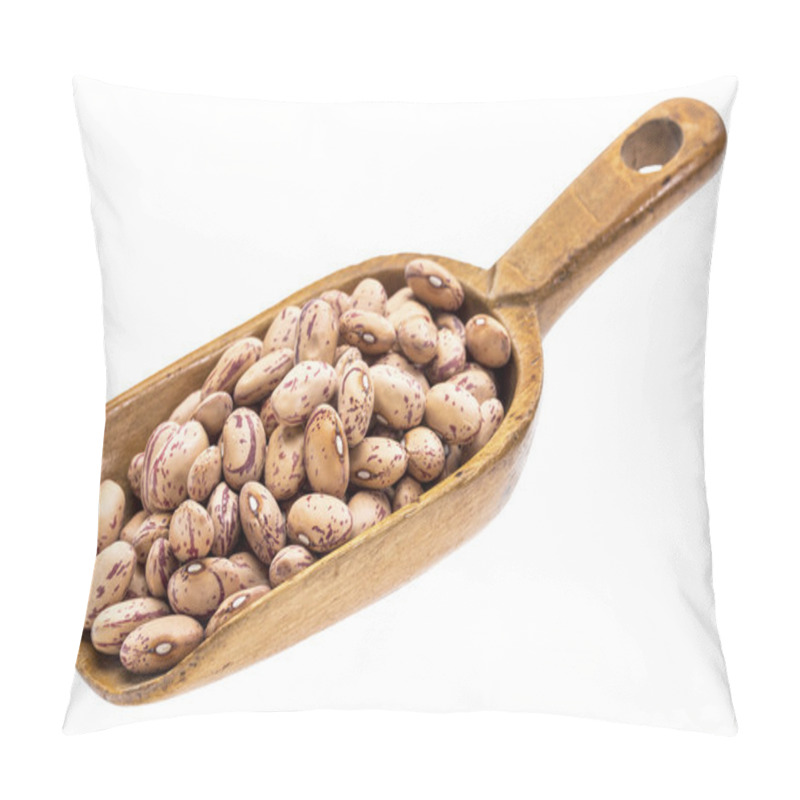 Personality  rustic scoop of cranberry beans pillow covers