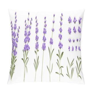 Personality  Set Of Differents Lavender Branches On White Background. Pillow Covers