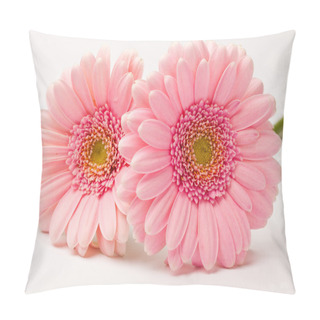 Personality  Gerbera Flowers Pillow Covers