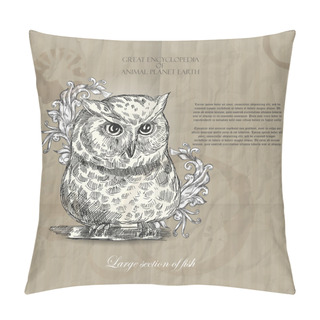 Personality  Vector Owl From Great Encyclopedia Of Animal Planet Earth On Brown Background Pillow Covers
