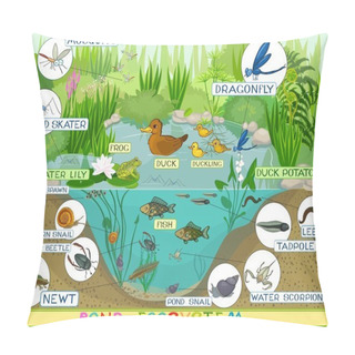Personality  Ecosystem Of Duck Pond Pillow Covers