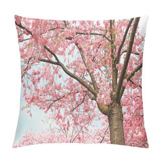 Personality  Blooming Cherry Tree At Springtime Pillow Covers