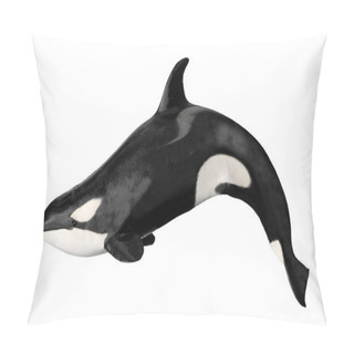Personality  Isolated Killer Whale Pillow Covers