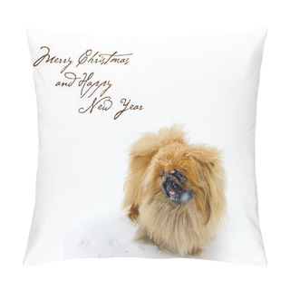 Personality  Christmas Card With Pekingese On Snow Pillow Covers