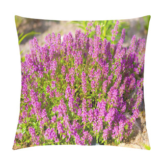 Personality  Thymus Serpyllum, Known As Breckland Thyme, Wild Thyme Pillow Covers