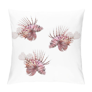Personality  The Red Lionfish (Pterois Volitans). Pillow Covers