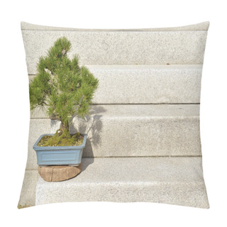 Personality  Bonsai Pine Tree Potted On Stairs Pillow Covers