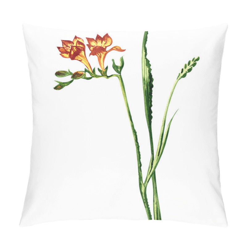 Personality  Beautiful freesia flower isolated, watercolor painting pillow covers