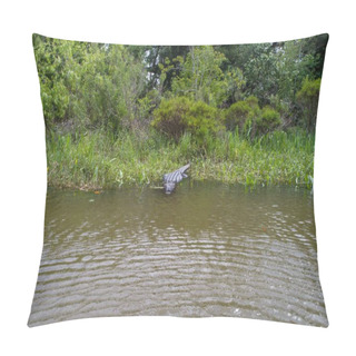 Personality  Large Adult American Alligator In Daphne, Alabama Near Mobile Bay  Pillow Covers