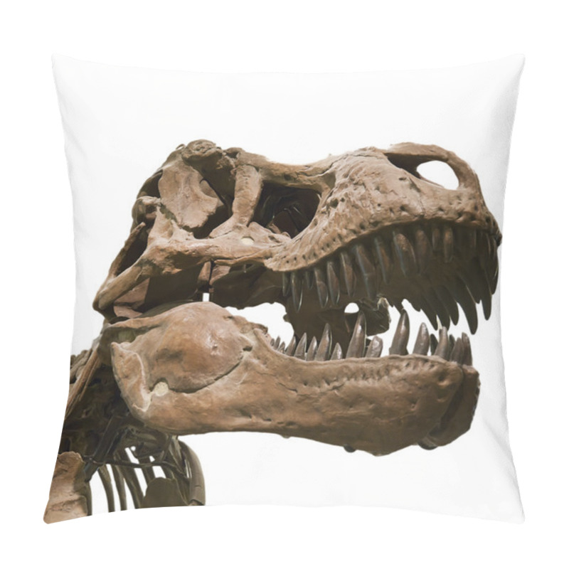 Personality  Tyrannosaurus rex pillow covers