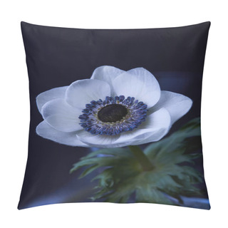 Personality  One White Anemone Flower With Green Leaves Isolated On Black Pillow Covers