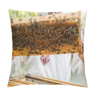 Personality  Cropped View Of Bee Master Holding Blurred Honeycomb With Bees And Honey On Apiary Pillow Covers