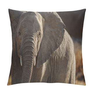 Personality  Wildlife Found On Safari Pillow Covers