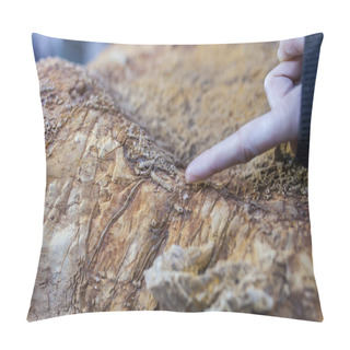 Personality  Hand Pointing Cloudina Carinata, Early Metazoan Worn-shaped Pillow Covers