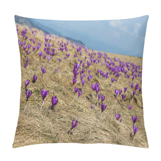 Personality  Blooming Pillow Covers