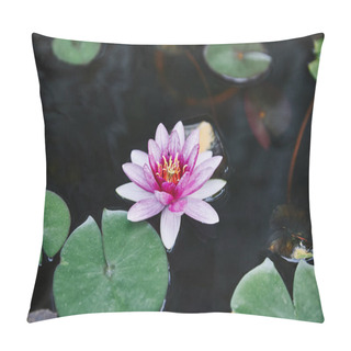 Personality  Beautiful Purple Water Lily And Green Leaves On River In Park Pillow Covers