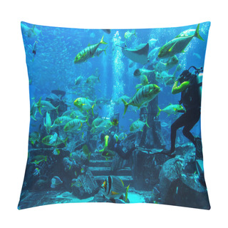 Personality  Large Aquarium In Hotel Atlantis In Dubai  Pillow Covers