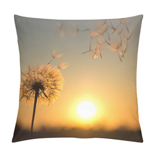 Personality  Dandelion Against The Backdrop Of The Setting Sun Pillow Covers