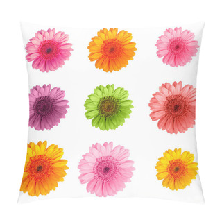 Personality  Daisy Flowers Isolated Over White Background Pillow Covers