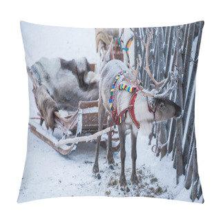 Personality  Santa Claus Deer Drags Sled Pillow Covers