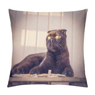Personality  Cat And Sun Pillow Covers