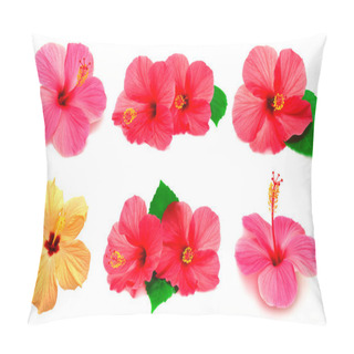 Personality  Collection Of Colored Hibiscus Pillow Covers