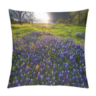 Personality  A Stormy Dawn Breaks Over A Field Of Bluebonnets And Indian Paintbrushes Near Fredericksburg, TX Pillow Covers