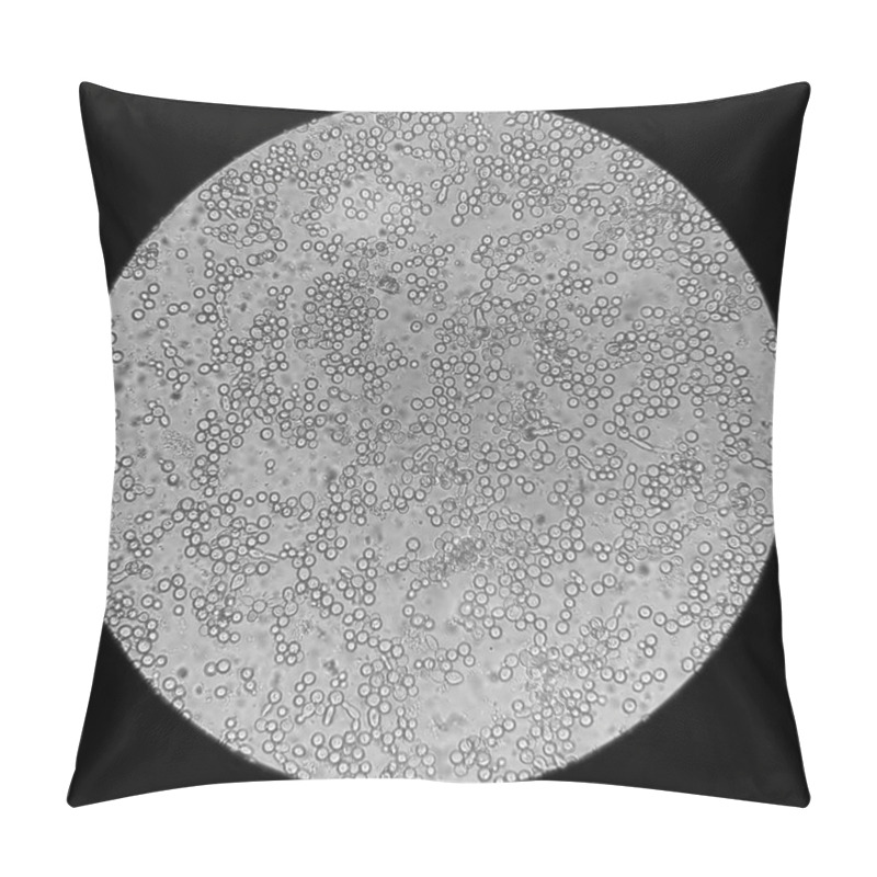 Personality  microscopic view of the fungi candida albicans pillow covers