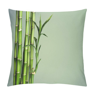 Personality  Many Bamboo Stalks On Blurred Background  Pillow Covers