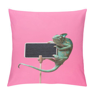 Personality  Tropical Chameleon Crawling On Blank Board Isolated On Pink Pillow Covers