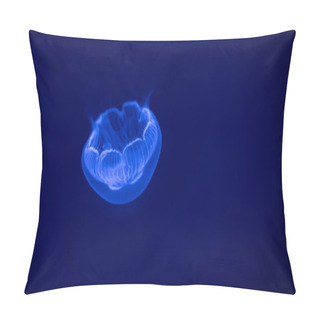 Personality  Moon Jellyfis (aurelia Labiata), In The Sea Water. Jellyfish In Nature Ocean Habitat. Pillow Covers