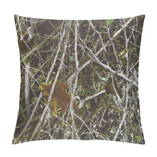 Personality  Realistic Forest Camouflage. Seamless Pattern. Branches And Leaves. Useable For Hunting And Military Purposes.                                            Pillow Covers