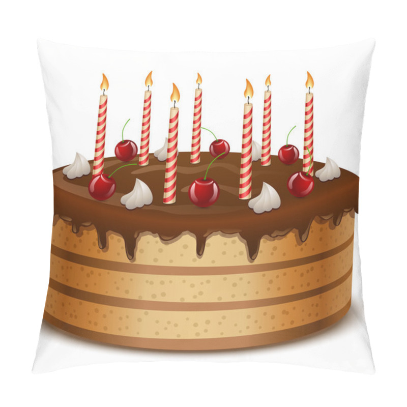 Personality  Birthday cake with candles isolated on white background vector i pillow covers