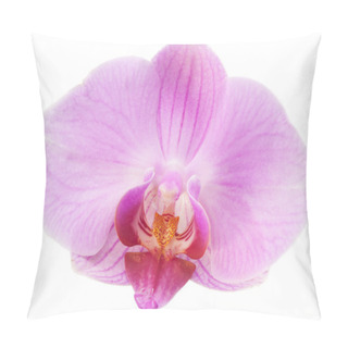 Personality  Orchid Flower Pillow Covers