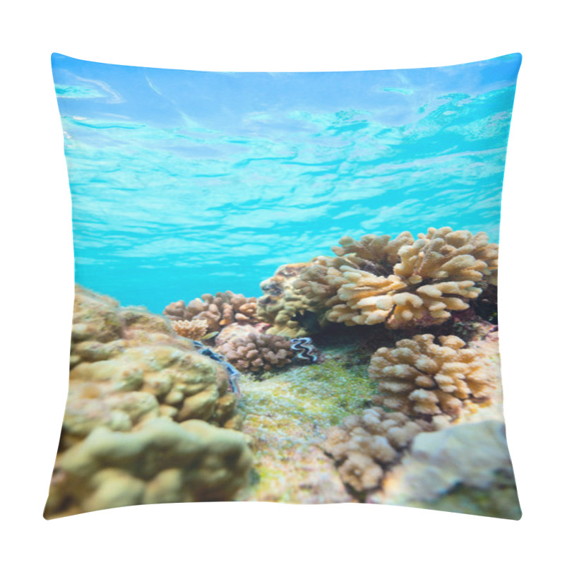 Personality  Coral Reef Pillow Covers