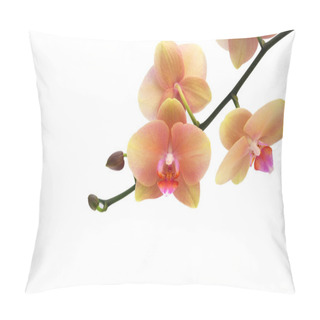 Personality  Orchid Isolated On White Background Pillow Covers