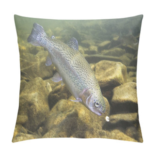 Personality  Rainbow Trout (Oncorhynchus Mykiss) Close-up Under Water In The Nature River Habitat. Underwater Photo In The Clean Little Creek.  Pillow Covers