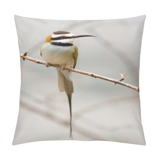 Personality  Bee Eater Pillow Covers