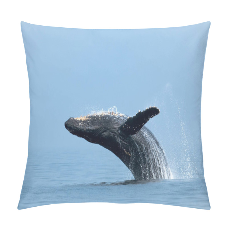 Personality  A Closeup Of Humpback Whale Jumping Out Of The Water Pillow Covers