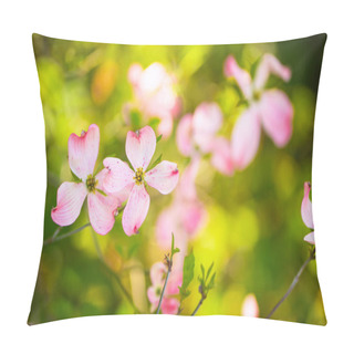 Personality  Beautiful Pink Flowering Dogwood Blossoms Pillow Covers