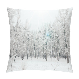 Personality  Scenic View Of Snowy Trees And Sunlight In Winter Forest Pillow Covers