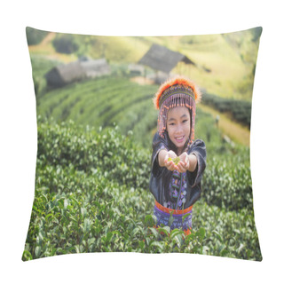 Personality  Green Tea Field In Thailand Pillow Covers