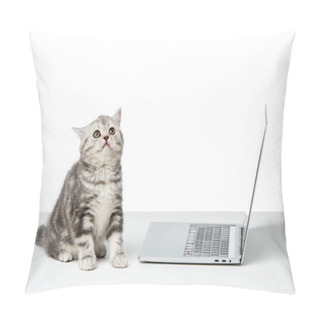 Personality  Cute Little British Shorthair Cat Sitting Near Laptop On Table Top Pillow Covers