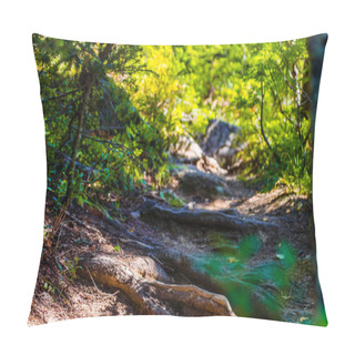 Personality  Dense Green Forest. Summer Winding Path Between The Trees. Pillow Covers